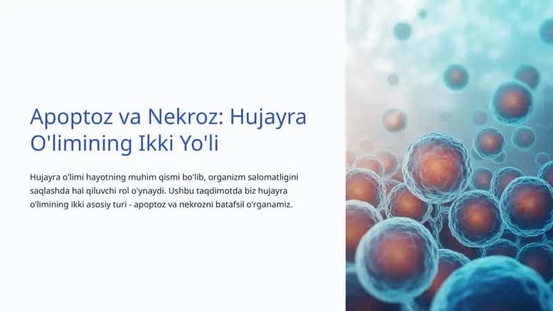 Apoptoz va Nekroz: Hujayra O'limining Ikki Yo'li 1