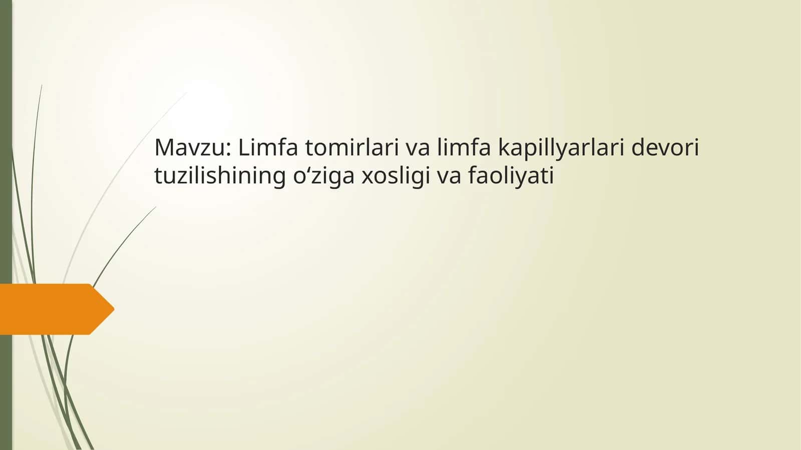 LimfatomirlarivaLimfakapillyarlaridevorituzilishiningo‘zigaxosligivafaoliyati 1