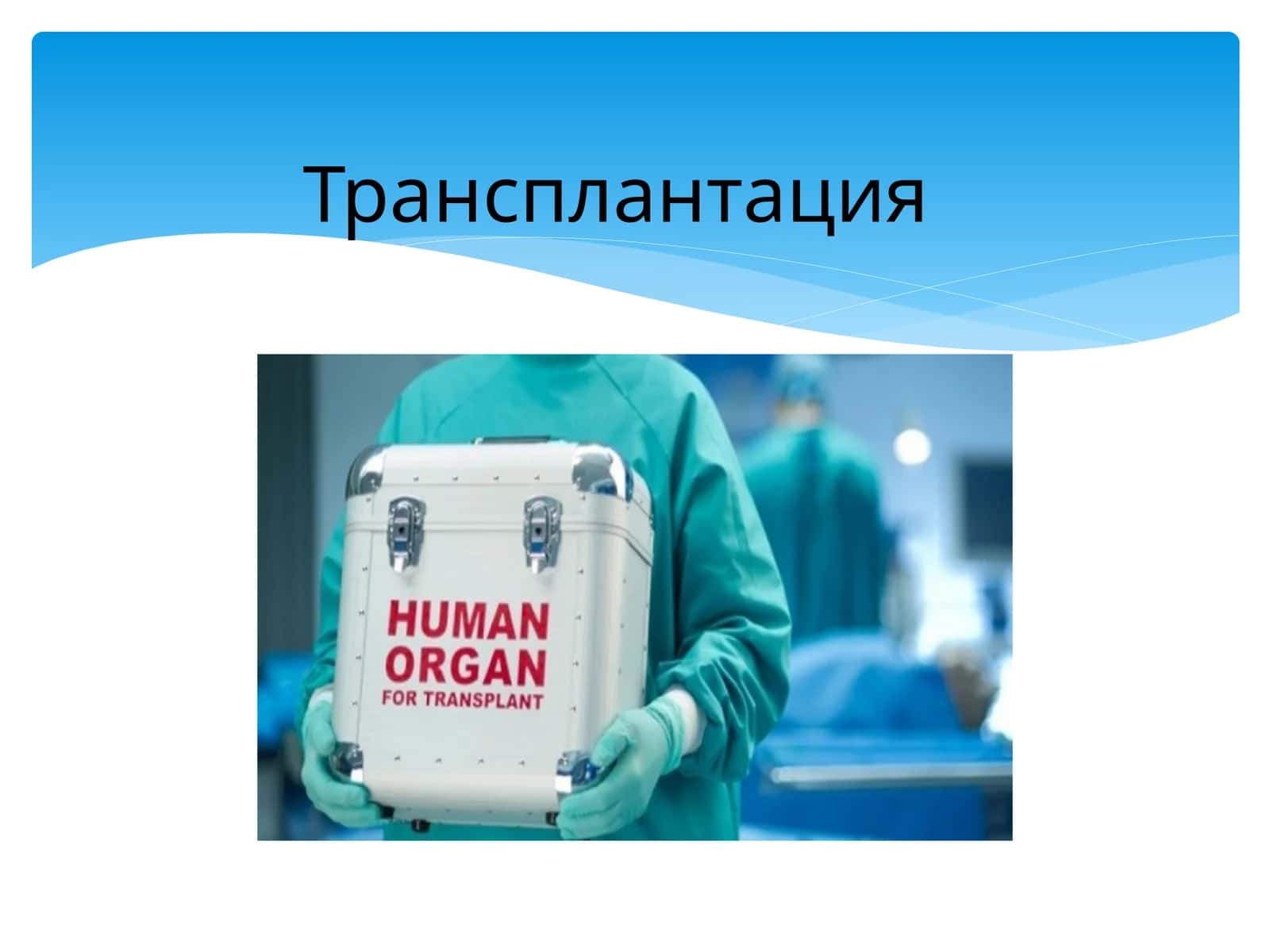Трансплантация 1