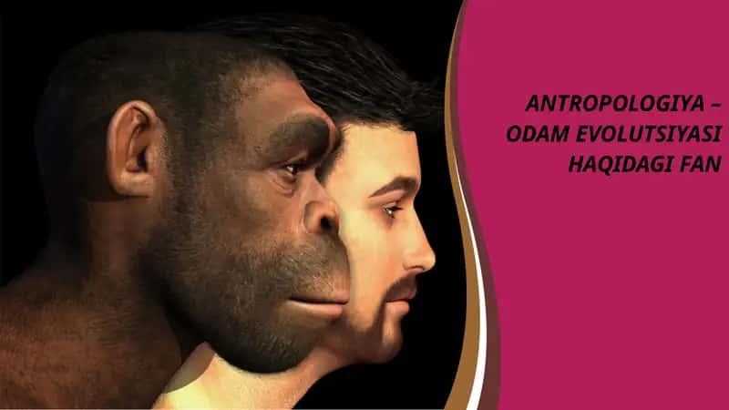 ANTROPOLOGIYA – ODAM EVOLUTSIYASI HAQIDAGI FAN 1