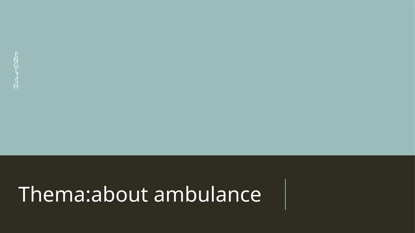 The Role of Ambulances 1
