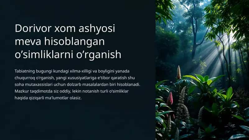 Oddiy archa 1