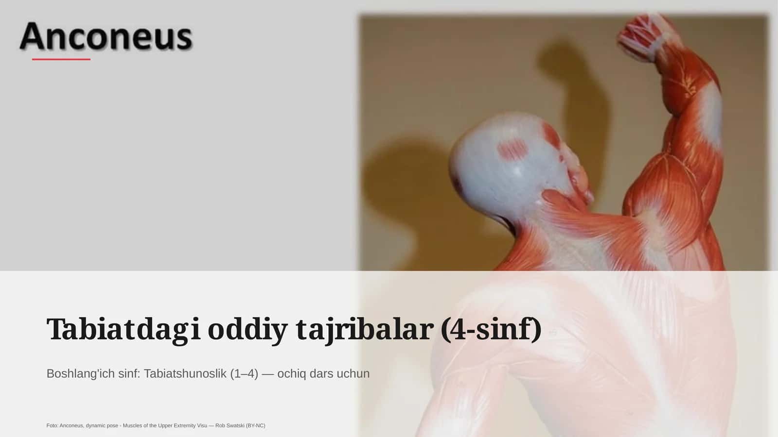Tabiatdagi oddiy tajribalar (4-sinf) 1