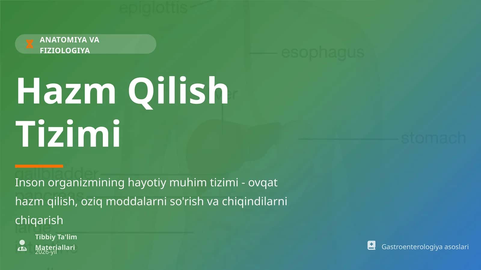 ANATOMIYA VA FIZIOLOGIYA Hazm Qilish Tizimi 1
