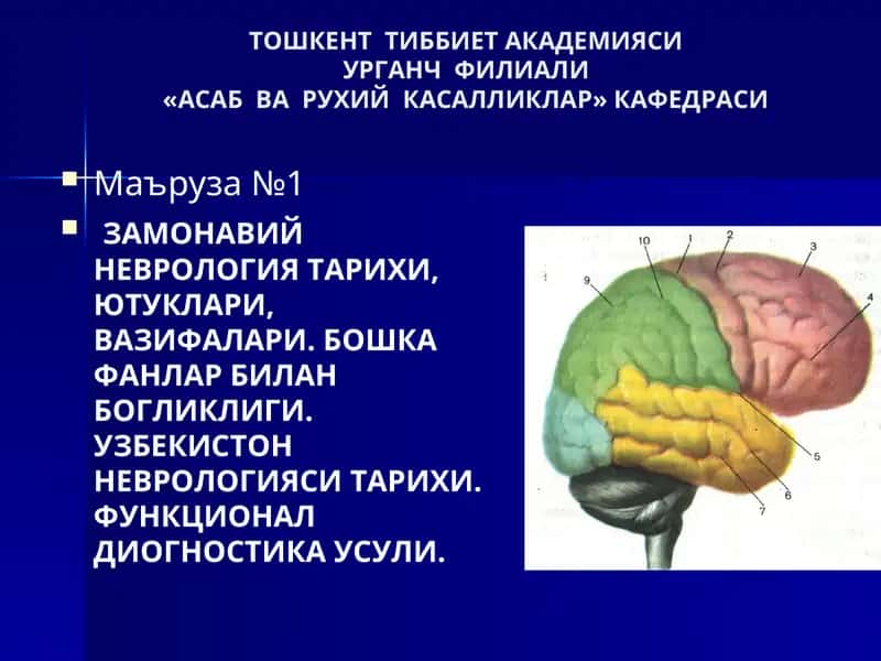 ЗАМОНАВИЙ НЕВРОЛОГИЯ ТАРИХИ, ЮТУКЛАРИ, ВАЗИФАЛАРИ 1