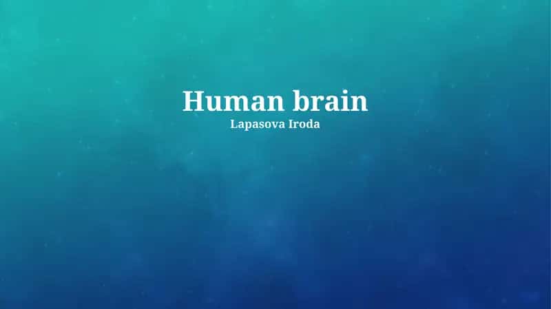 Human brain 1