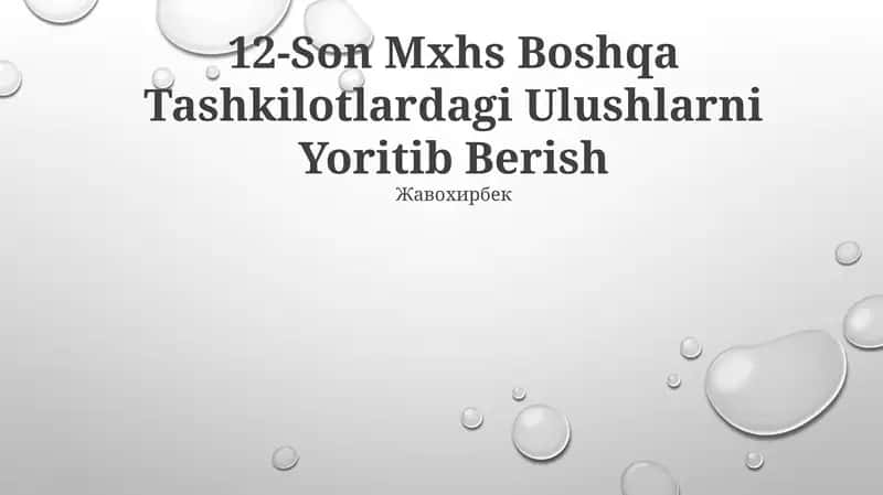 12-Son Mxhs Boshqa Tashkilotlardagi Ulushlarni Yoritib Berish 1