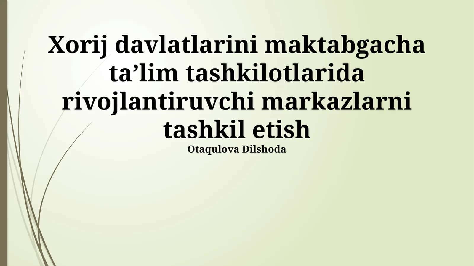 Xorij davlatlarini maktabgacha taʼlim tashkilotlarida rivojlantiruvchi markazlarni tashkil etish 1