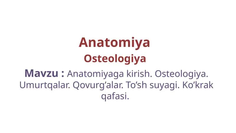 Anatomiyaga kirish. Osteologiya. Umurtqalar. Qovurg’alar. To’sh suyagi. Ko’krak qafasi. 1