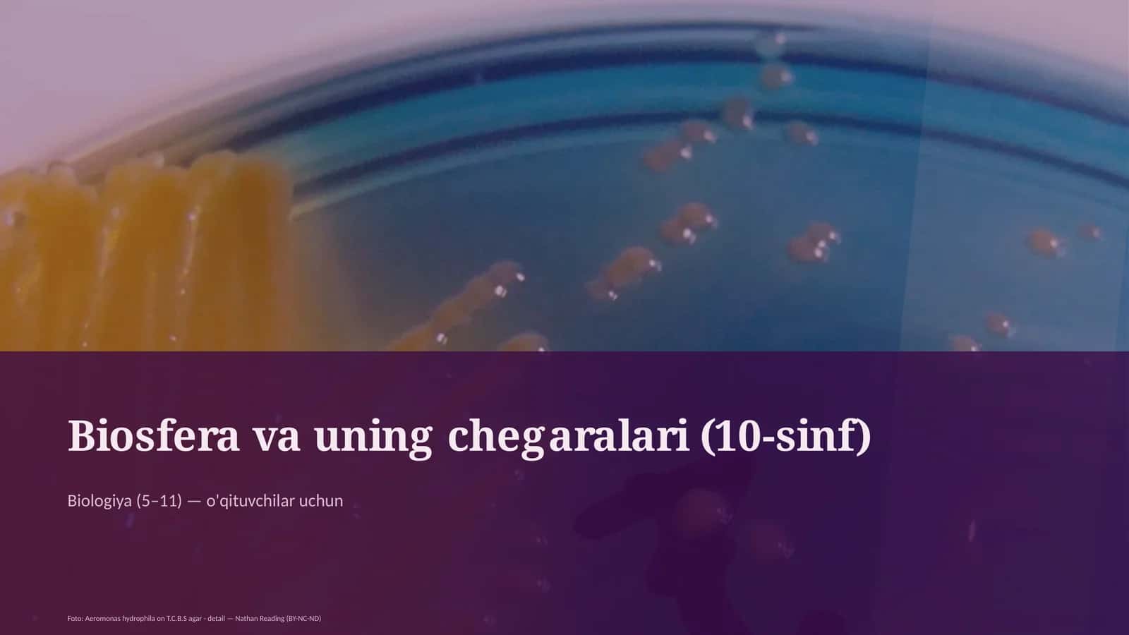 Biosfera va uning chegaralari (10-sinf) 1