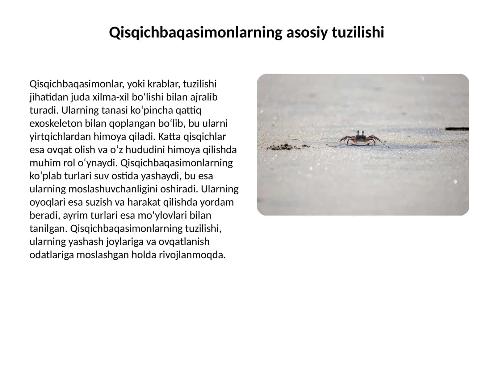 Qisqichbaqasimonlarning asosiy tuzilishi 1