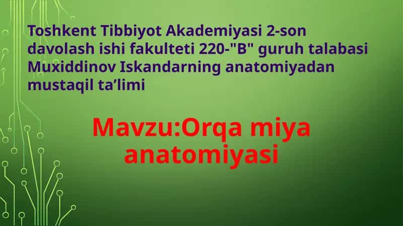 Orqamiyaanatomiyasi 1