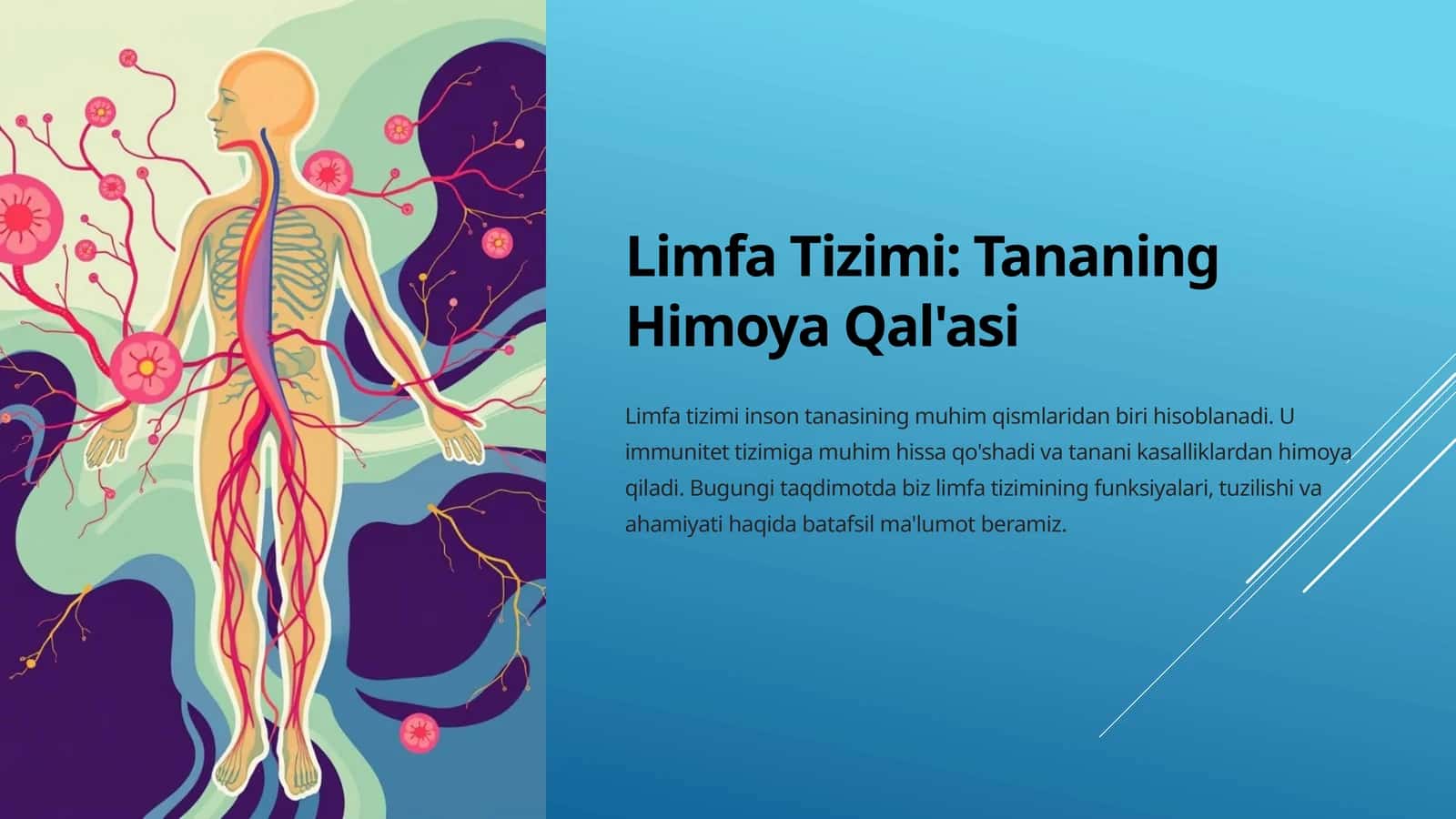 Limfa Tizimi Tananing Himoya Qal'asi 1