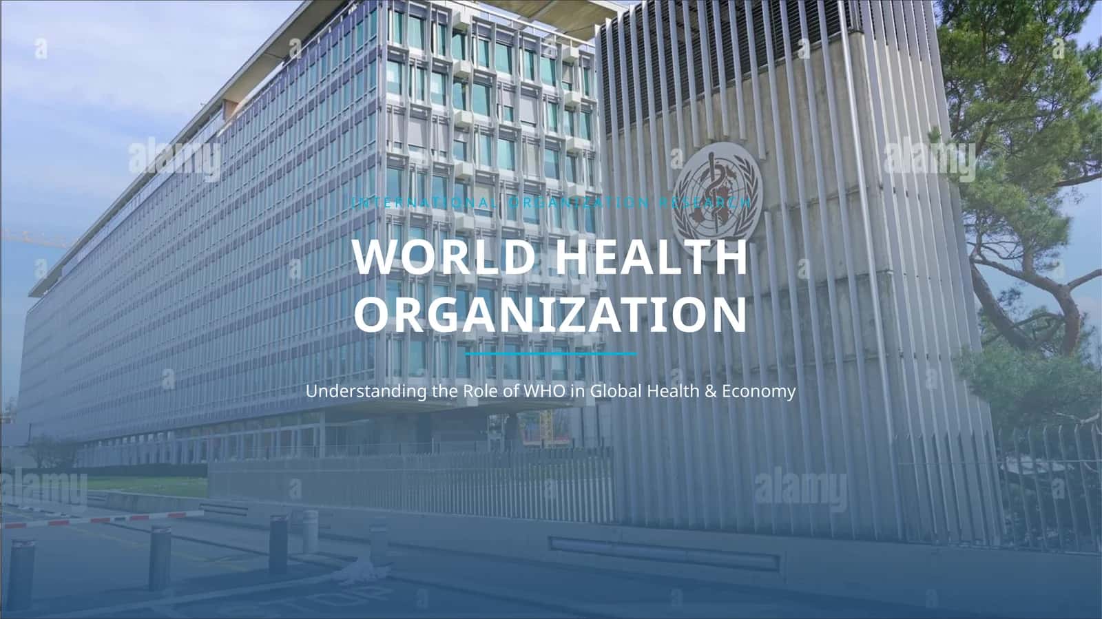 Understanding the Role of WHO in Global Health & Economy 1