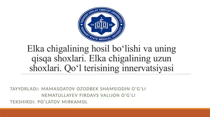 yelka chigalining hosil bo'lishi 1