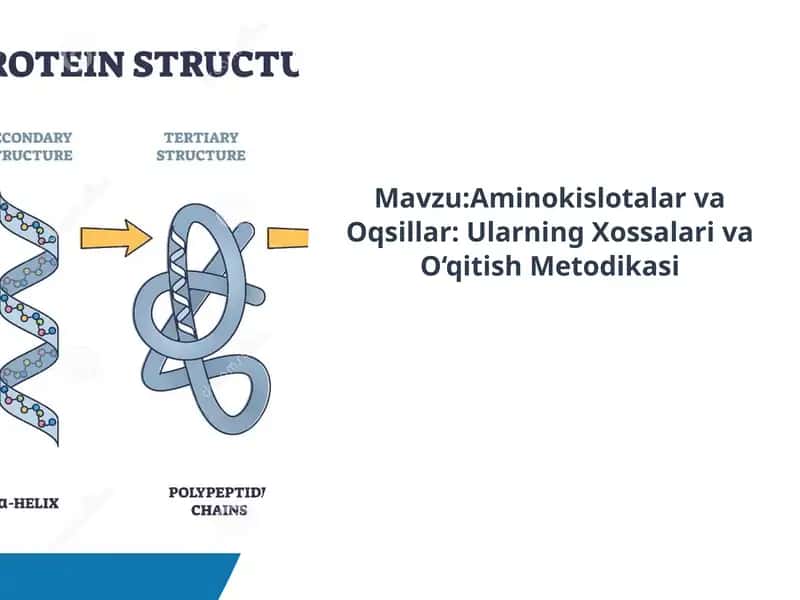 Aminokislotalar va Oqsillar: Ularning Xossalari va O‘qitish Metodikasi 1