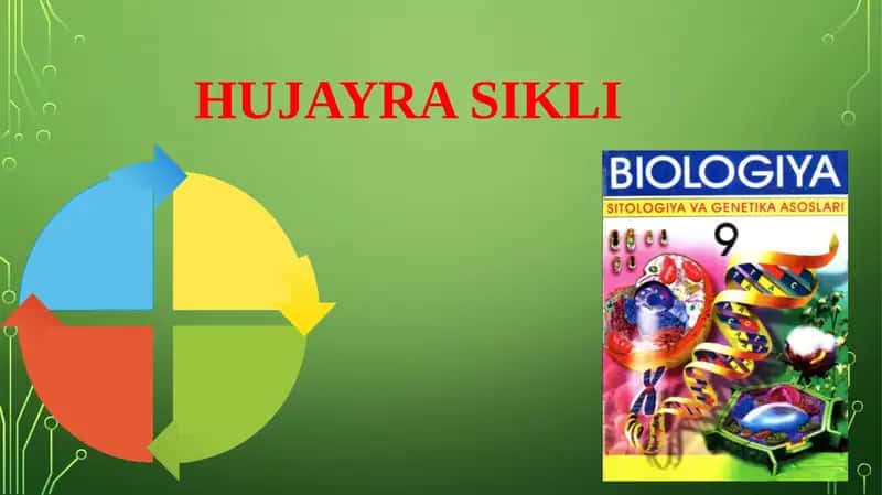 HUJAYRASIKLI 1