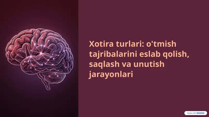 Xotira turlari: o'tmish tajribalarini eslab qolish, saqlash va unutish jarayonlari 1