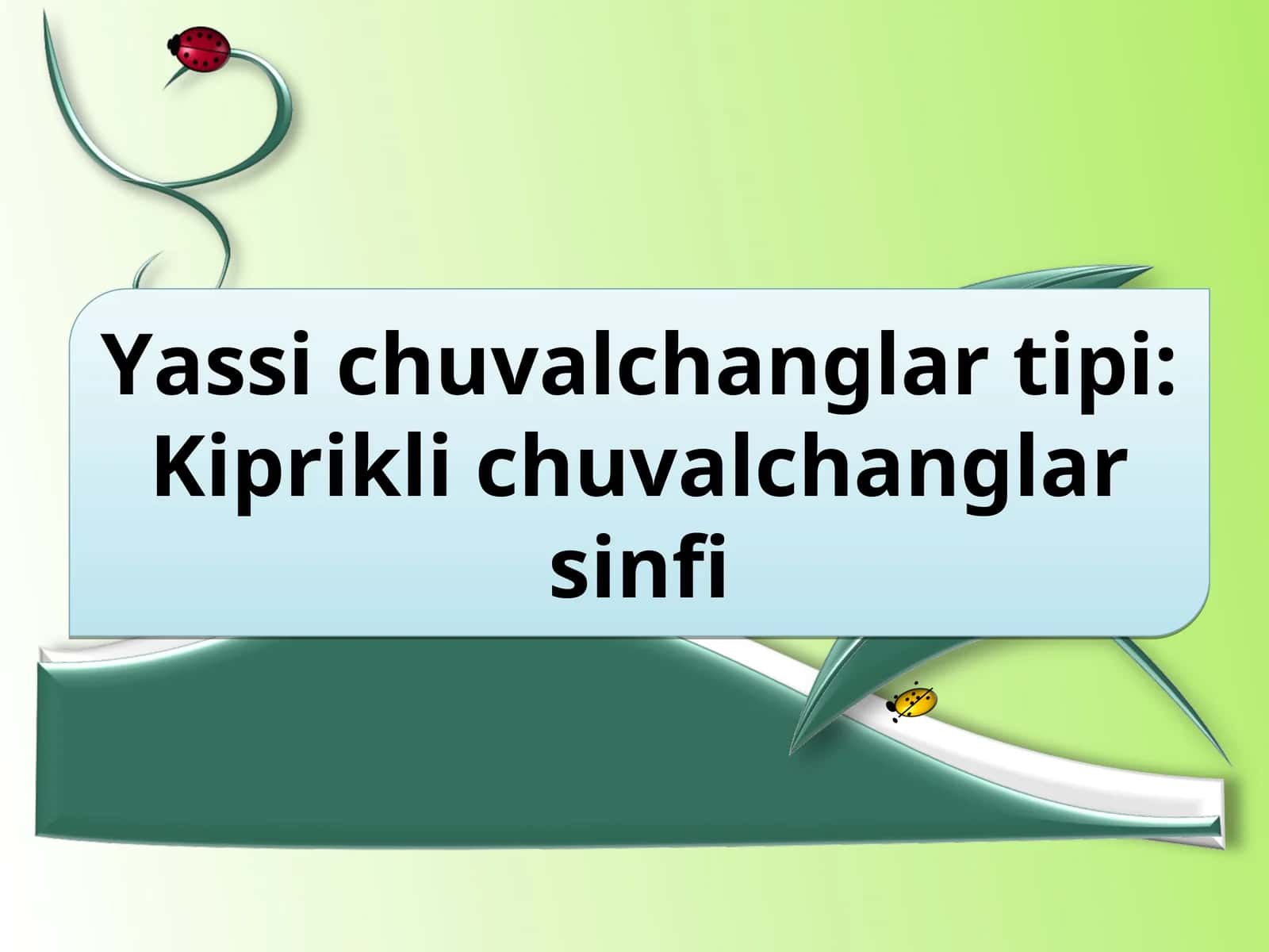 Yassi chuvalchanglar tipi:Kiprikli chuvalchanglar sinfi 1