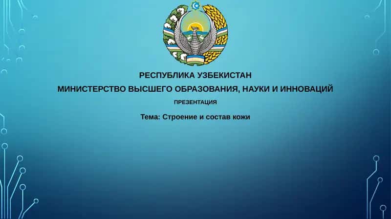 Строение и состав кожи 1