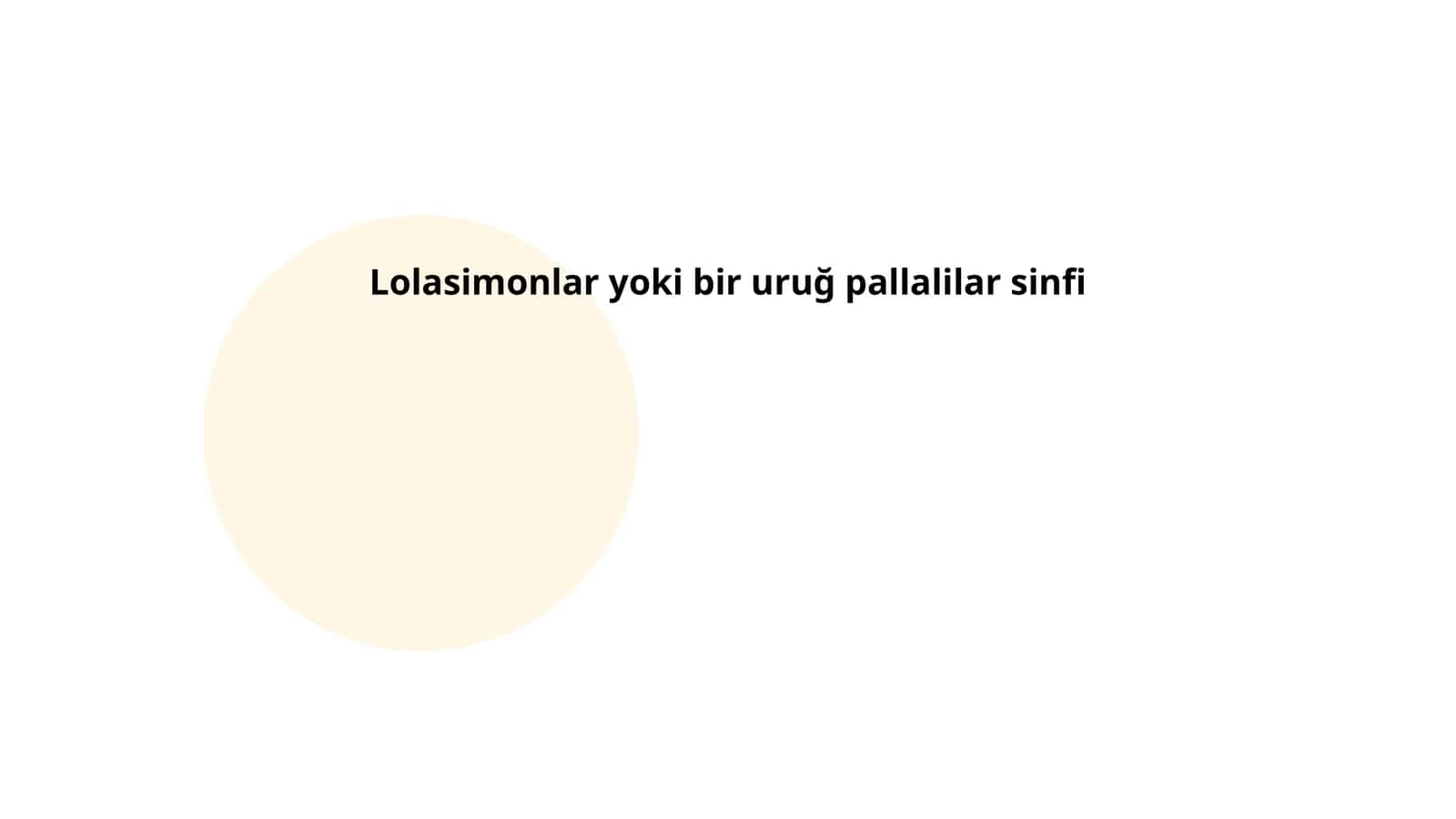 Lolasimonlar yoki bir uruğ pallalilar sinfi 1
