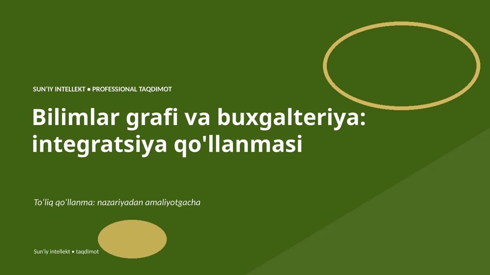 Bilimlar grafi va buxgalteriya: integratsiya qo'llanmasi 1