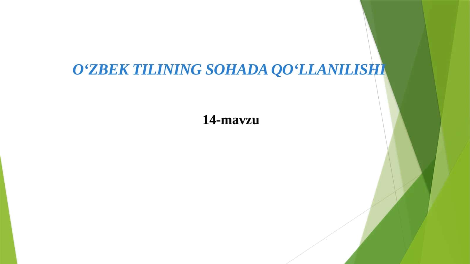 XXasr O‘zbek adabiyoti til xususiyatlari 1