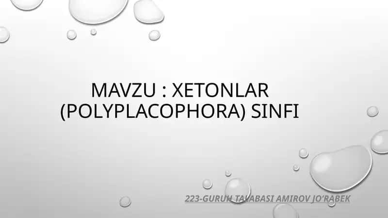 Xetonlar (POLYPLACOPHORA) SINFI 1