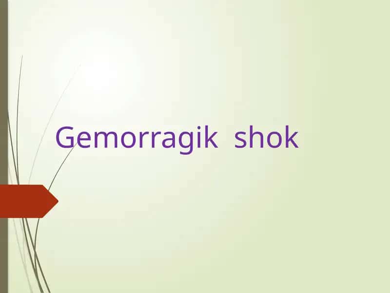 Gemorragikshok 1