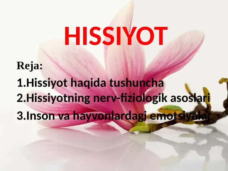 HISSIYOT 1