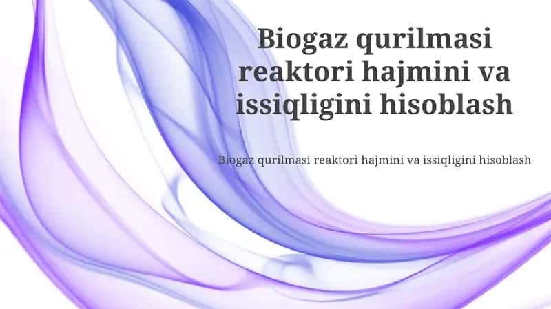 Biogaz O'simlik Reaktori 1
