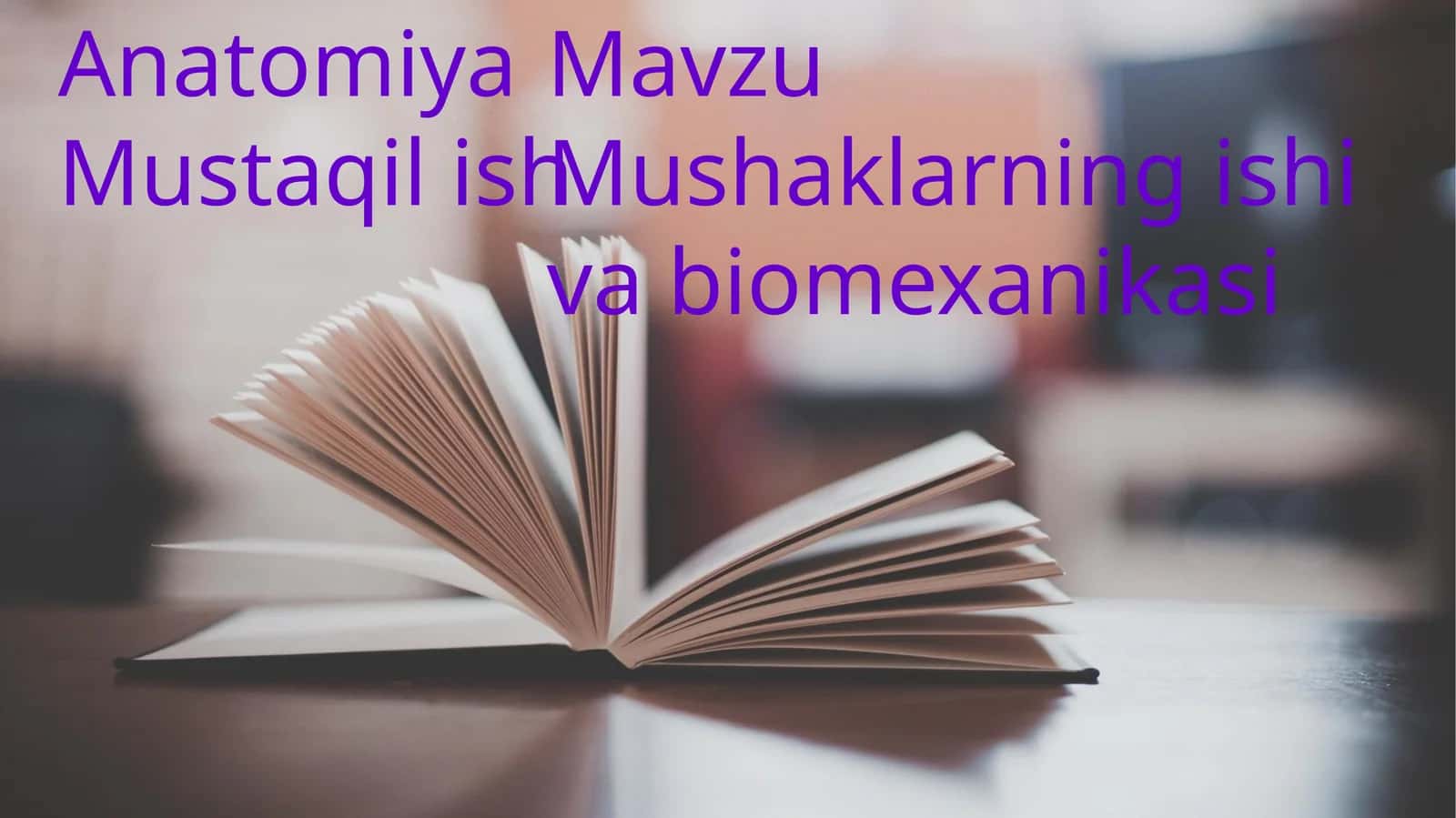 Mushaklar haqida maʼlumot 1
