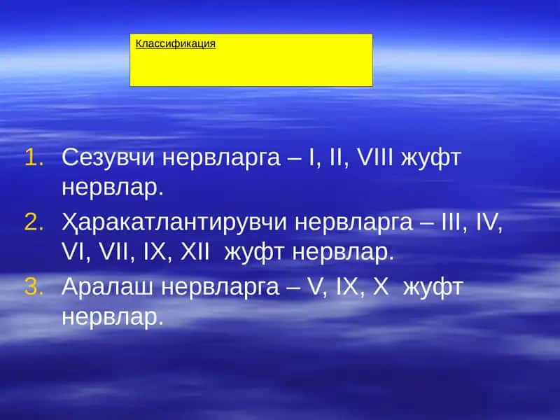 Нервлар классификацияси 1