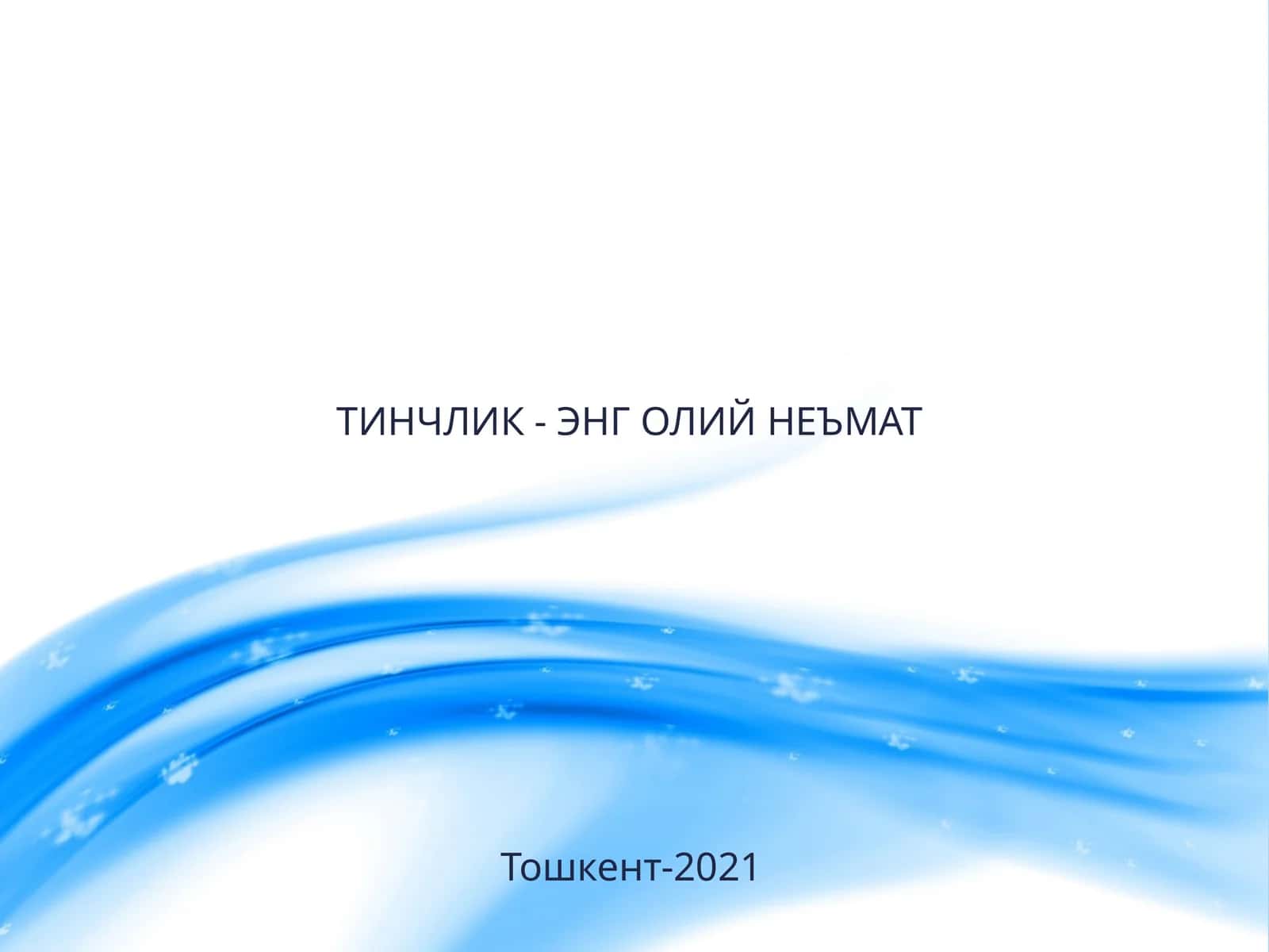 ТИНЧЛИК - ЭНГ ОЛИЙ НЕЪМАТ 1