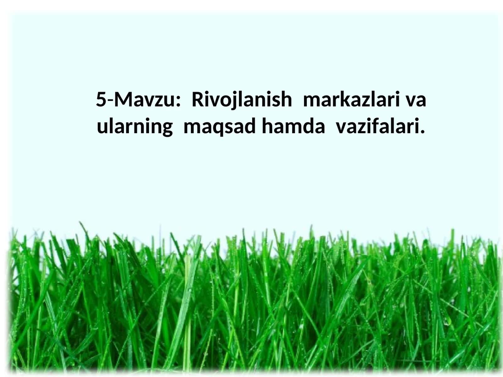 Rivojlаnish mаrkаzlаri va ulаrning mаqsаd hamda vаzifаlаri 1