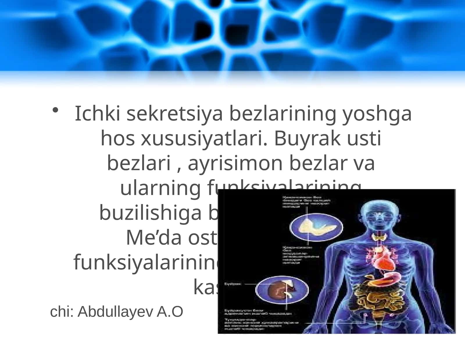 Ichki sekretsiya bezlarining yoshga hos xususiyatlari. Buyrak usti bezlari, ayrisimon bezlar va ularning funksiyalarining buzilishiga bog'liq kasalliklar. Me’da osti bezi va uning funksiyalarining buzilishiga bog'liq kasalliklar 1