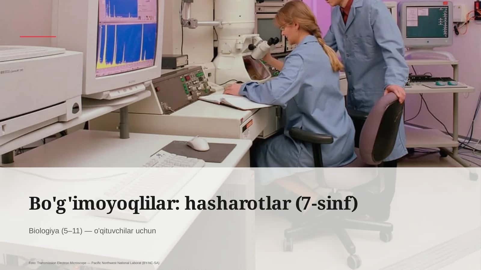 Bo'g'imoyoqlilar: hasharotlar (7-sinf) 1