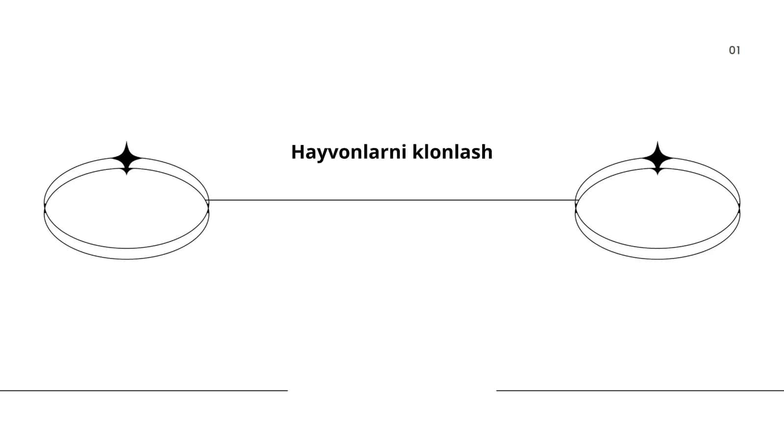 Hayvonlarni klonlash 1