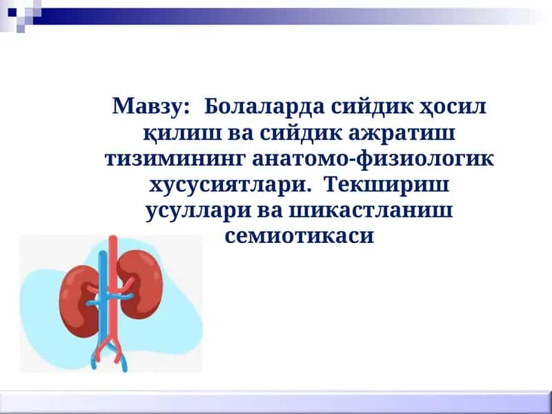 Болаларда сийдик ҳосил қилиш ва сийдик ажратиш тизими 1