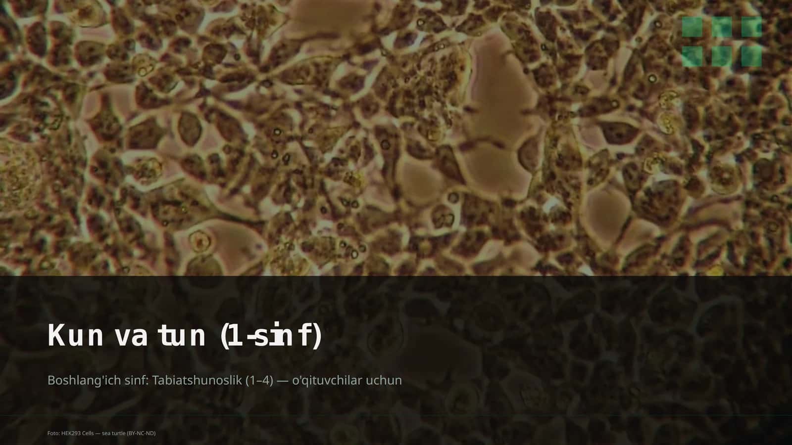 Kun va tun (1-sinf) 1
