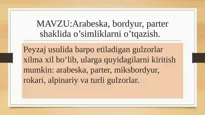 Arabeska, bordyur, partershaklidao’simliklar 1
