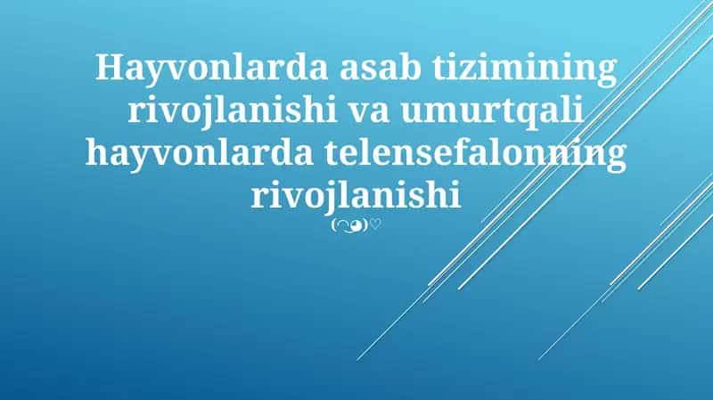 Umurtqali hayvonlarda telensefalonning rivojlanishi 1