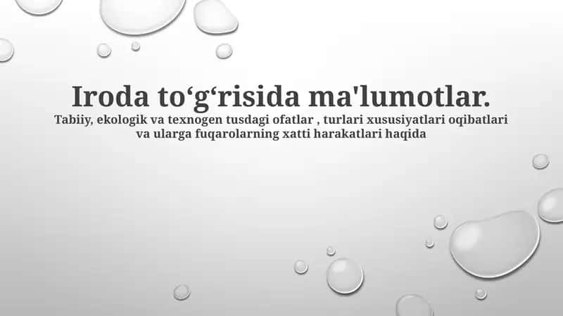 Ofis haqida ma'lumotlar 1