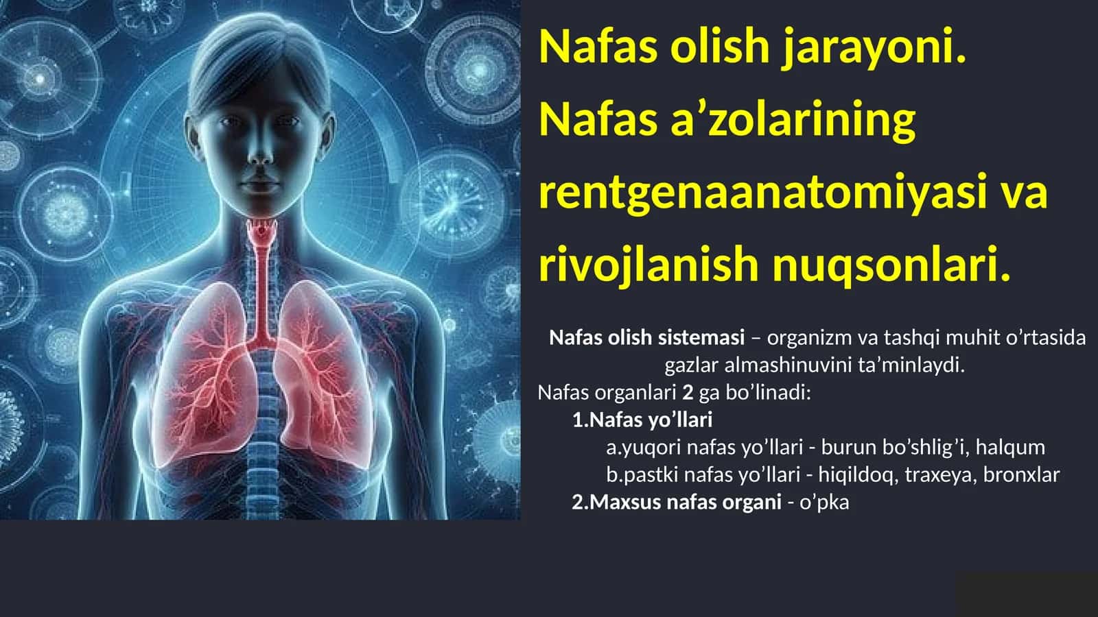 Nafas olish tizimi 1