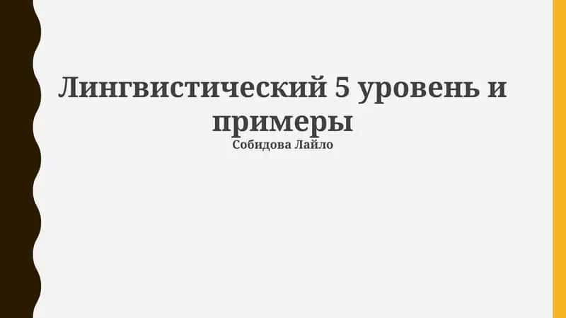 Лингвистический 5 уровень и примеры 1