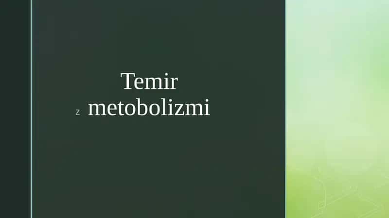 Temir metabolizmi 1