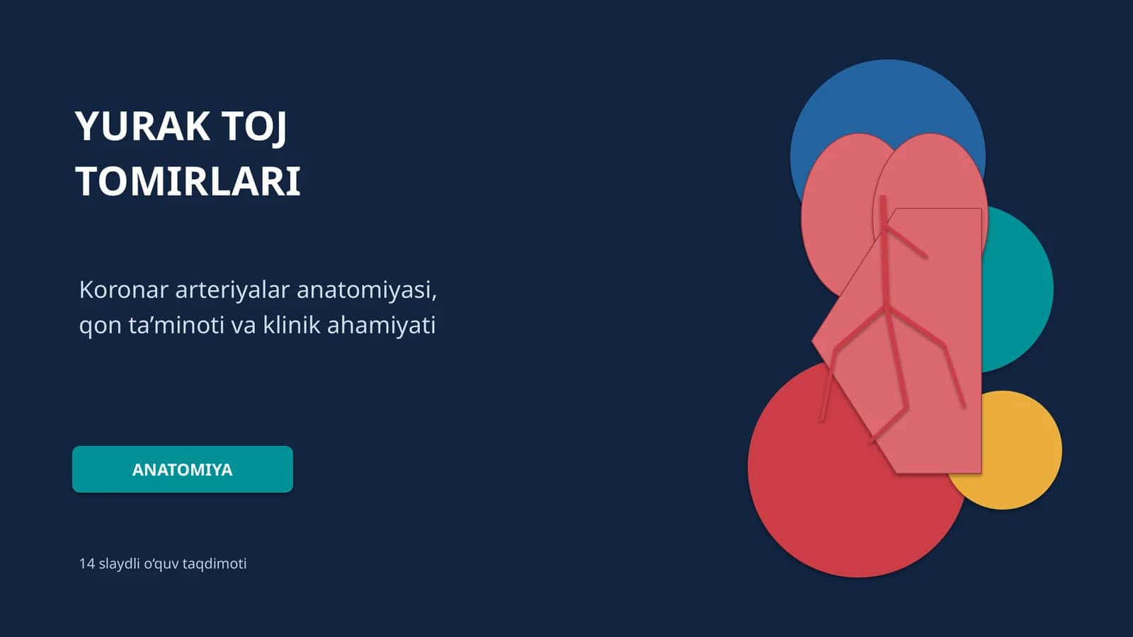 YURAK TOJ TOMIRLARI 1