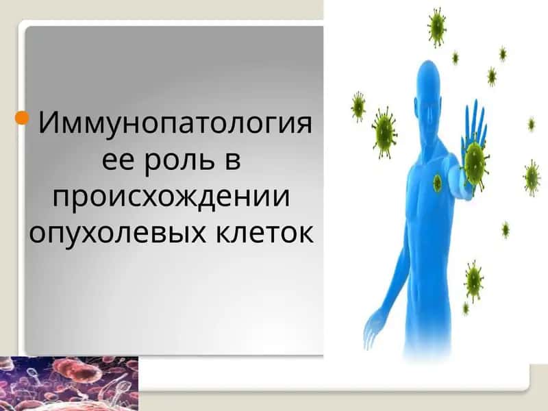 Иммунопатология ее роль в происхождении опухолевых клеток 1