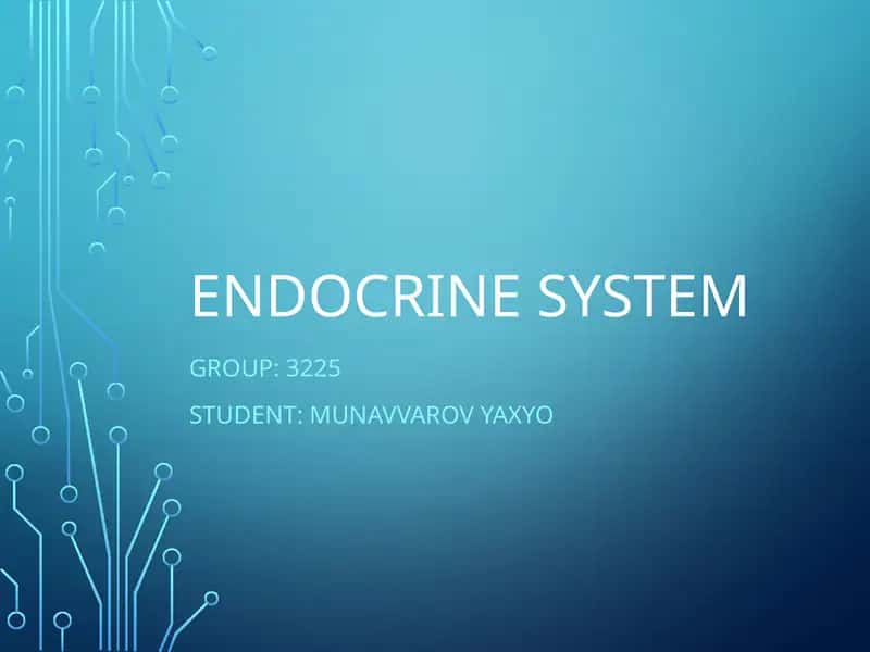 Endocrine System 1