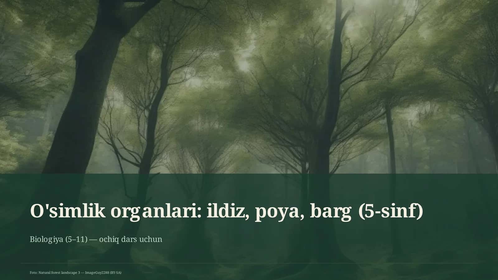 O'simlik organlari: ildiz, poya, barg (5-sinf) 1